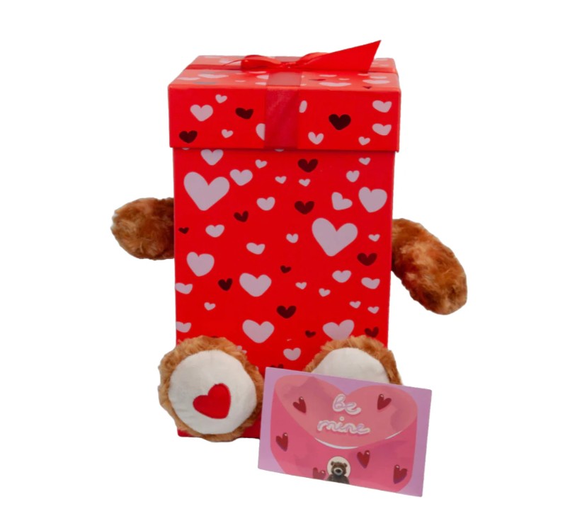 Valentines Day Teddy Bear ”Be Mine“