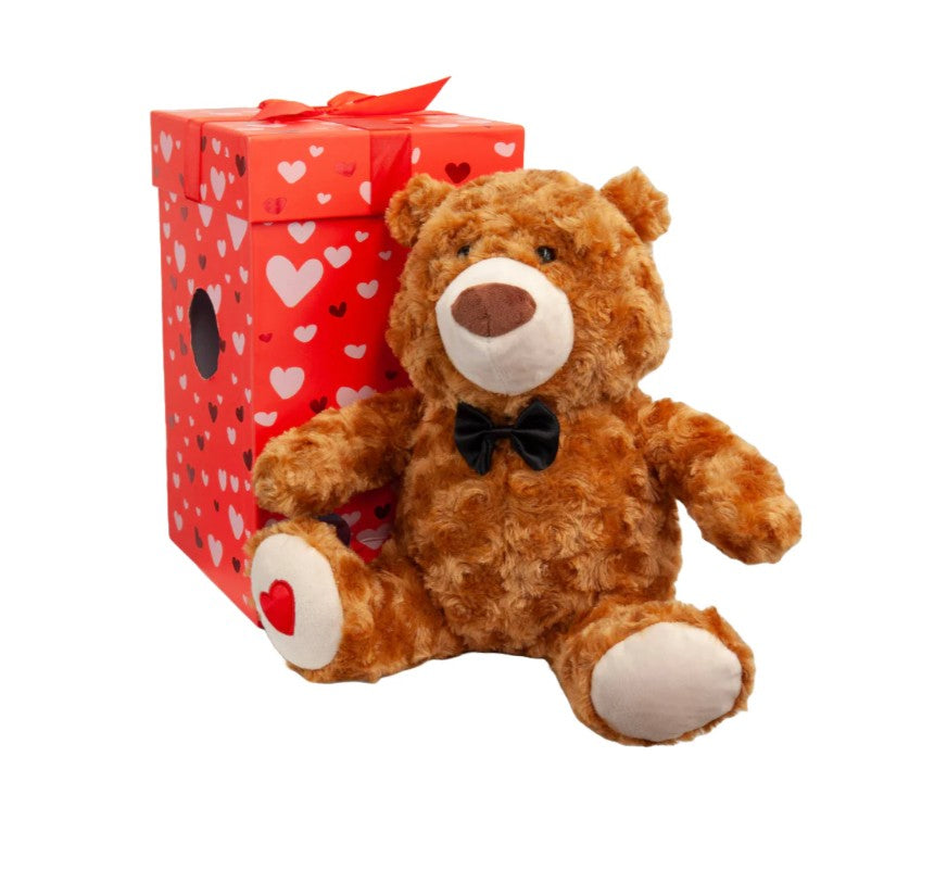 Valentines Day Teddy Bear ”Be Mine“